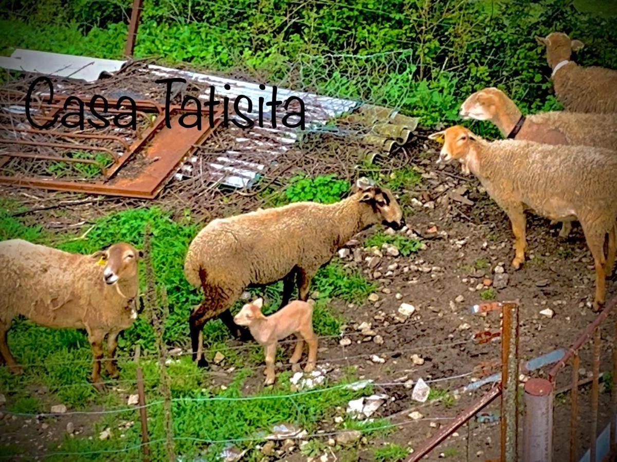 Casa Tatisita Luna セグラ・デ・ラ・シエラ エクステリア 写真